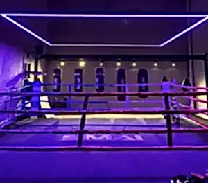 Find the Best Boxing Gym Near Me: Your Ultimate Guide to Training Smarter